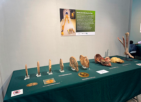 Viagem de estudos ao Museu Mello leit�o em Santa Teresa Col�gio Passionista Jo�o XXIII