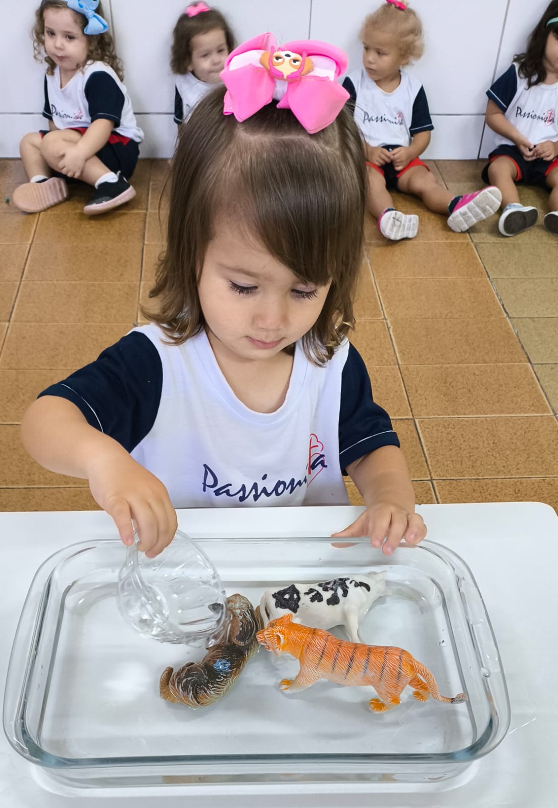 A Cria��o - Maternal I B Col�gio Passionista Jo�o XXIII