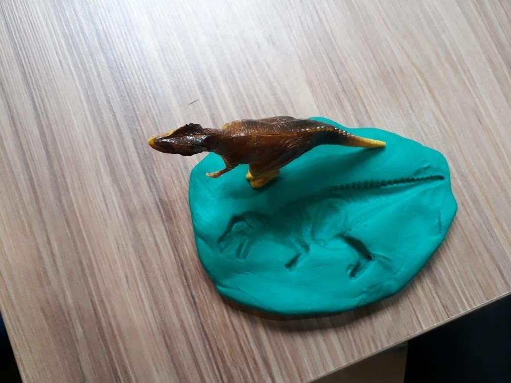 Estudo dos F�sseis - 4� Ano Col�gio Passionista Jo�o XXIII