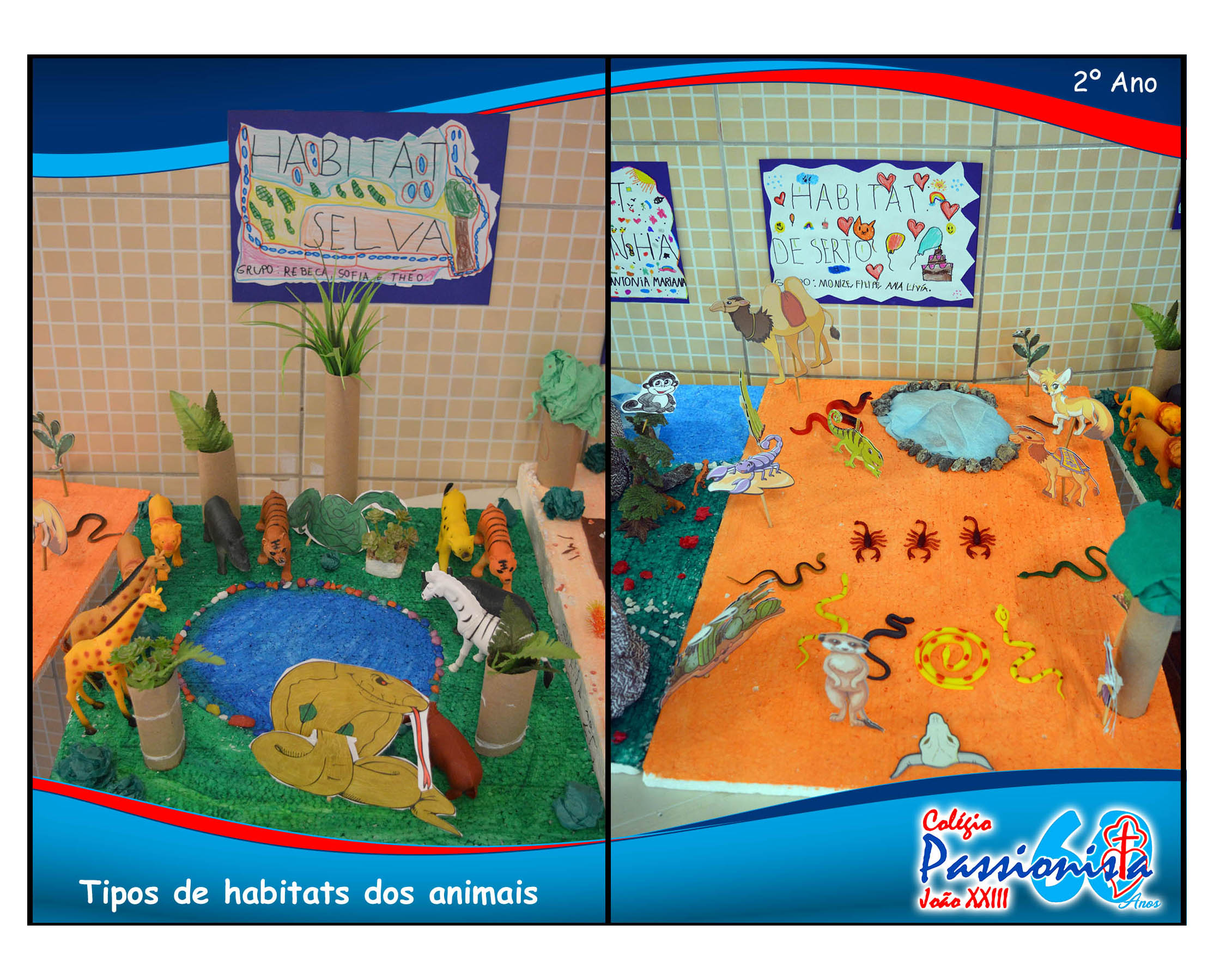 Tipos de habitats dos animais Col�gio Passionista Jo�o XXIII