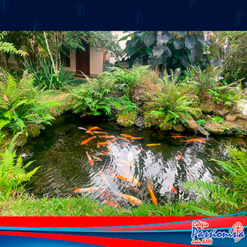 Viagem de Estudo ao Mosteiro Zen Budista - 7� Ano Col�gio Passionista Jo�o XXIII