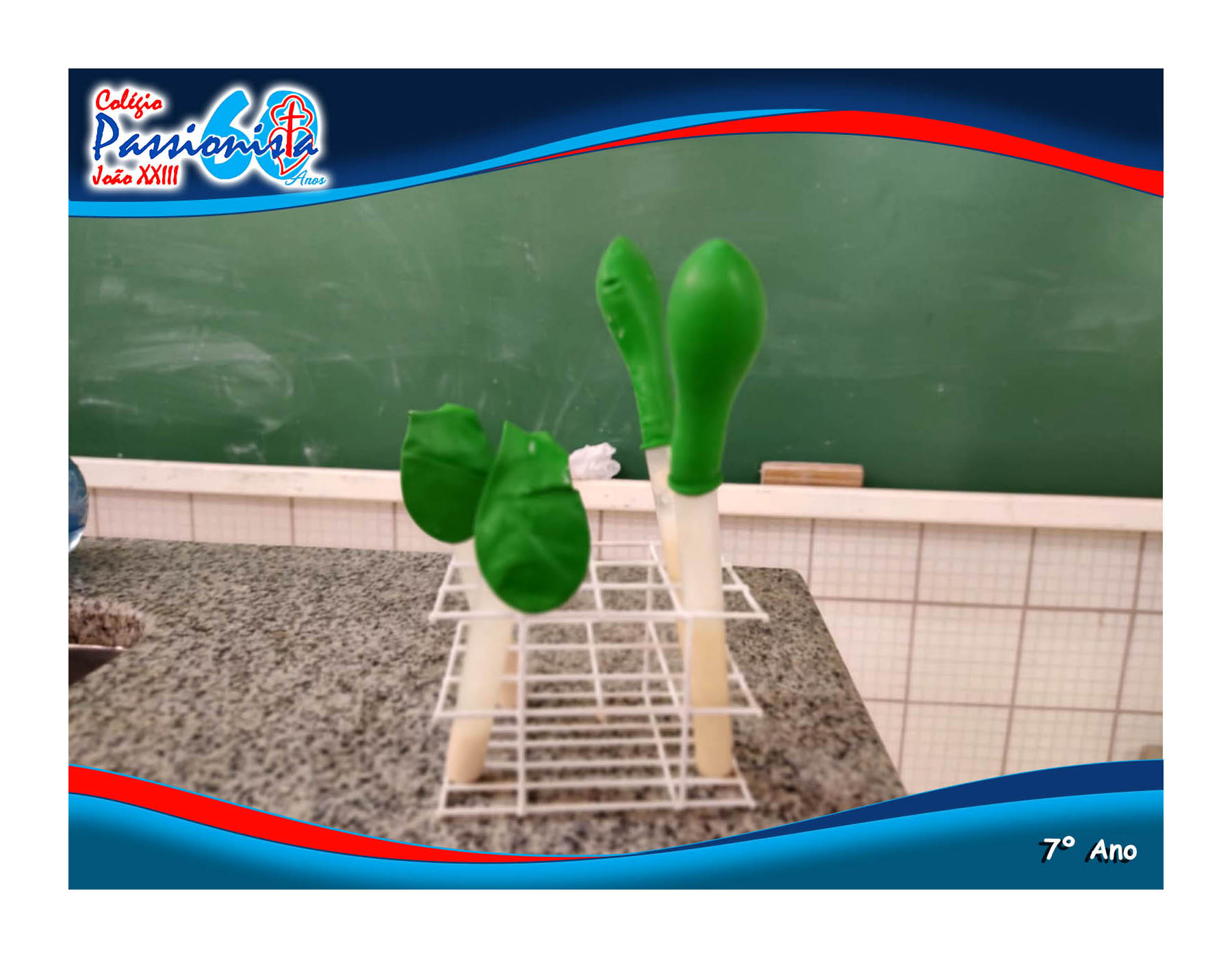 Processo de Fermenta��o Col�gio Passionista Jo�o XXIII