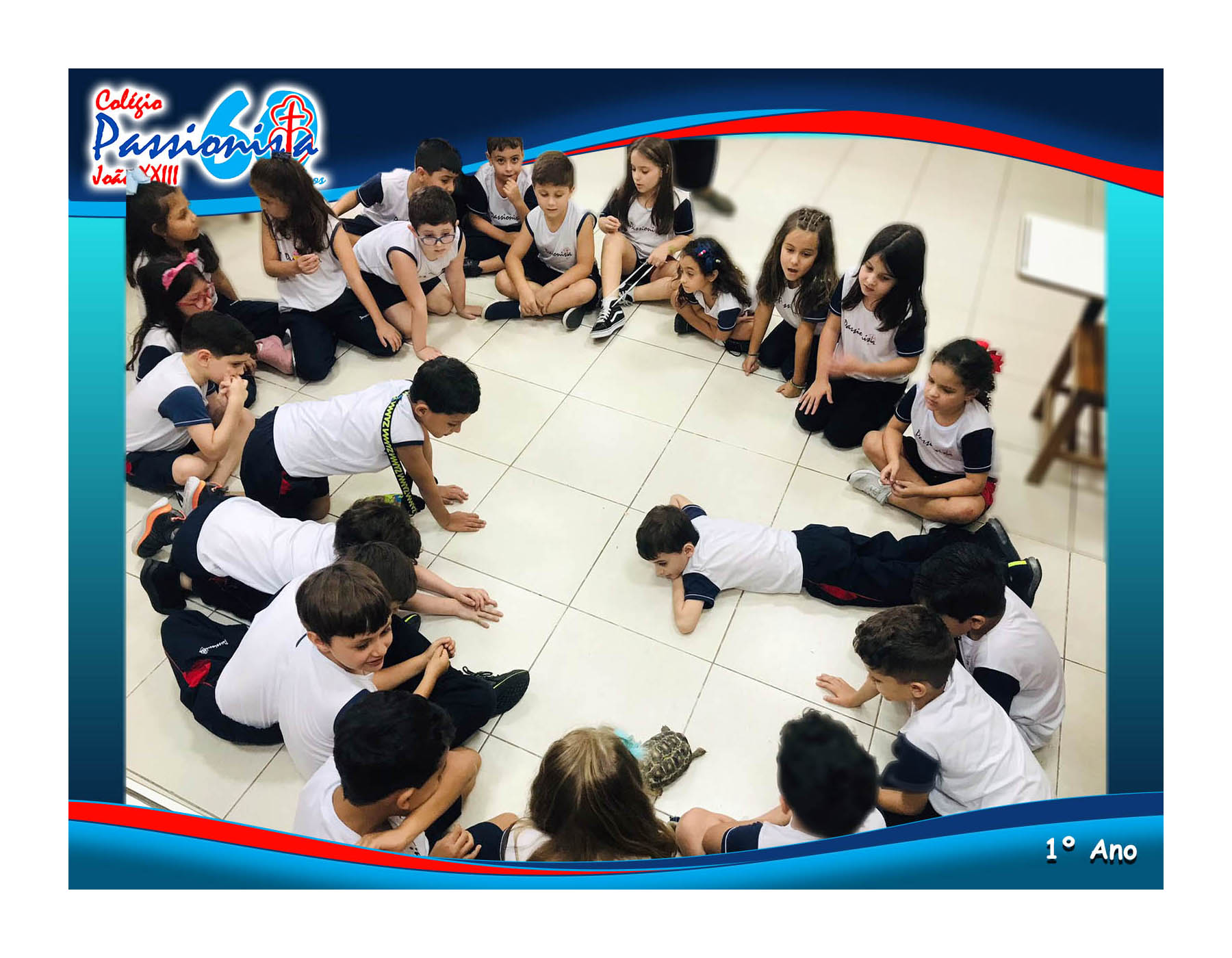 Aula de Ingl�s - Vocabul�rio de Pet Animals Col�gio Passionista Jo�o XXIII