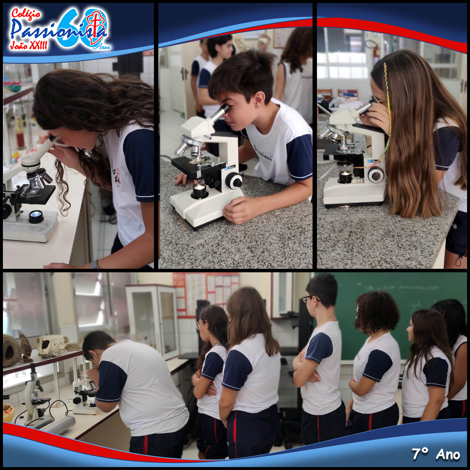 Microscopia Col�gio Passionista Jo�o XXIII