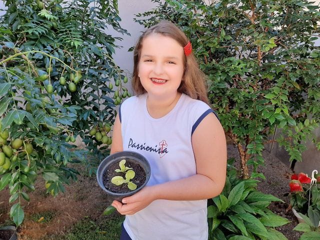 Planta��o 3� Ano Col�gio Passionista Jo�o XXIII